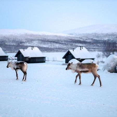 קילפיסיארבי Arctic Land Adventure Glass Igloos מראה חיצוני תמונה