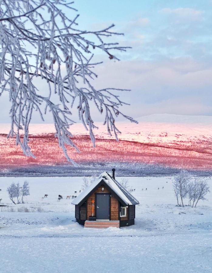 קילפיסיארבי Arctic Land Adventure Glass Igloos מראה חיצוני תמונה